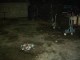 Thumbs/tn_10JahreParty 134.jpg